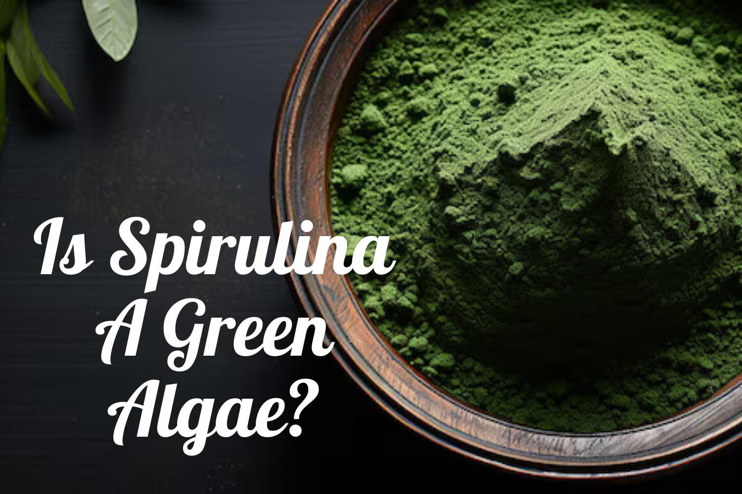 Is Spirulina A Green Algae