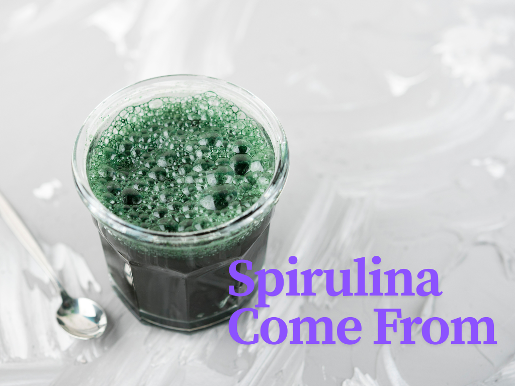 Spirulina Come From
