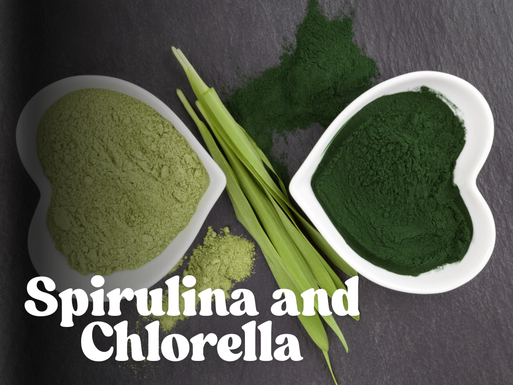 Spirulina and Chlorella